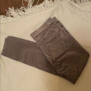 NWT loft modern skinny gray corduroy pants